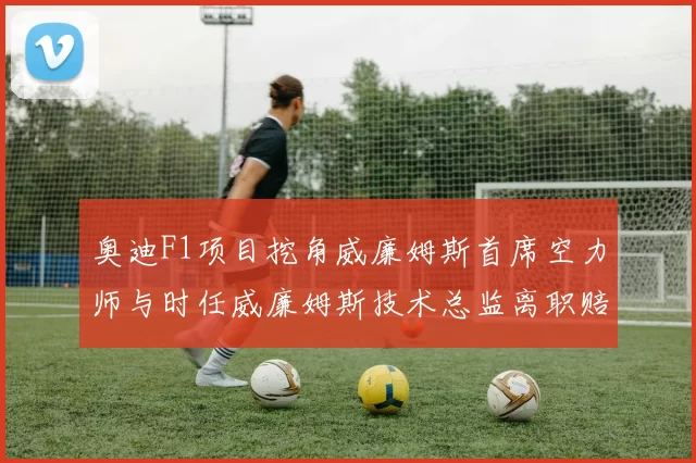 奥迪F1项目挖角威廉姆斯首席空力师与时任威廉姆斯技术总监离职赔偿金方案对比