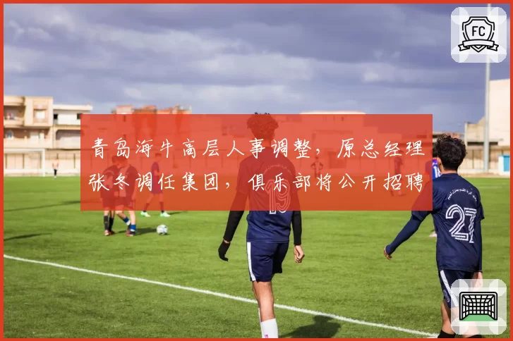 青岛海牛高层人事调整，原总经理张冬调任集团，俱乐部将公开招聘继任者