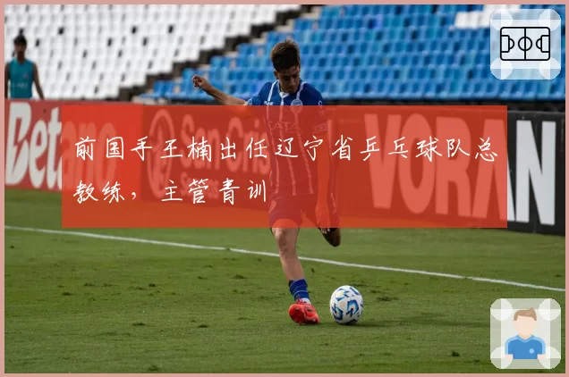 前国手王楠出任辽宁省乒乓球队总教练，主管青训