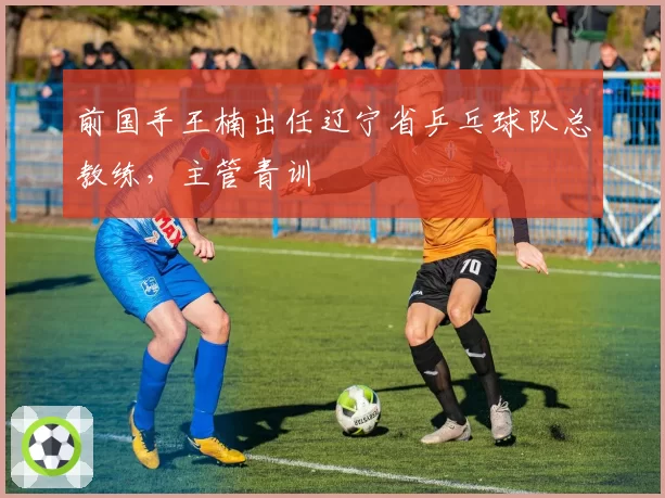 前国手王楠出任辽宁省乒乓球队总教练，主管青训