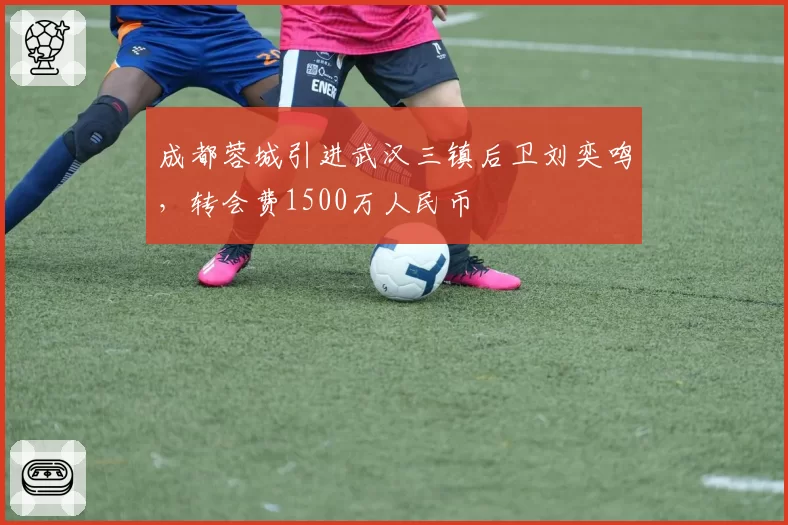 成都蓉城引进武汉三镇后卫刘奕鸣，转会费1500万人民币