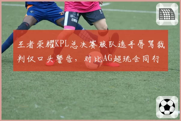 王者荣耀KPL总决赛狼队选手辱骂裁判仅口头警告，对比AG超玩会同行为罚分引双标质疑